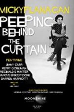 Watch Micky Flanagan: Peeping Behind the Curtain 2KMovies