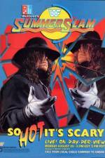 Watch Summerslam 2KMovies