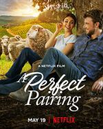 Watch A Perfect Pairing 2KMovies
