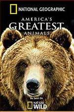 Watch America's Greatest Animals 2KMovies