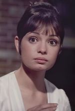 Watch Gidget Grows Up 2KMovies