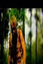 Watch The Legend of David 2KMovies