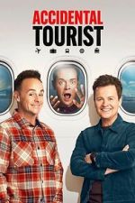 Watch The Accidental Tourist 2KMovies