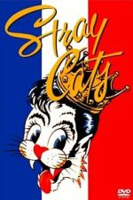 Watch Stray Cats Rock Paris 2KMovies