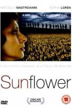 Watch Sunflower 2KMovies
