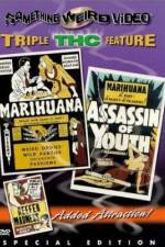 Watch Marihuana 2KMovies