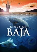 Watch Kings of Baja 2KMovies