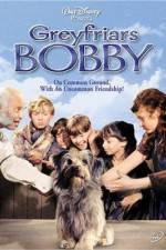 Watch Greyfriars Bobby The True Story of a Dog 2KMovies