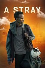 Watch A Stray 2KMovies