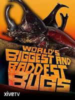 Watch World\'s Biggest and Baddest Bugs 2KMovies