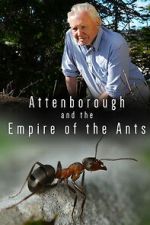 Watch Attenborough and the Empire of the Ants 2KMovies