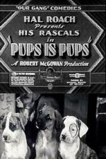 Watch Pups Is Pups 2KMovies