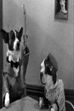 Watch The Two Barks Brothers 2KMovies
