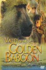 Watch National Geographic Golden Baboons 2KMovies