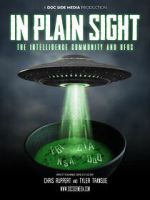 Watch In Plain Sight: The Intelligence Community and UFOs 2KMovies