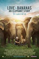 Watch Love & Bananas 2KMovies