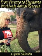 Watch From Parrots to Elephants: Worldwide Animal Rescues 2KMovies