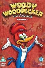 Watch Woody Woodpecker and His Friends 2KMovies