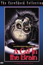 Watch Un gatto nel cervello 2KMovies