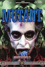 Watch Night Shadows 2KMovies