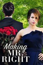 Watch Making Mr. Right 2KMovies