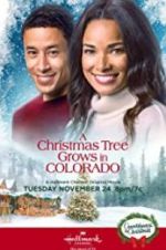Watch A Christmas Tree Grows in Colorado 2KMovies