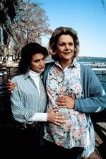 Watch Labor of Love The Arlette Schweitzer Story 2KMovies