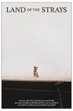 Watch Land of the Strays (Short 2018) 2KMovies