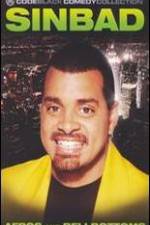 Watch Sinbad: Afros and Bellbottoms 2KMovies