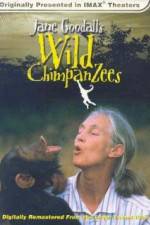 Watch Jane Goodall's Wild Chimpanzees 2KMovies