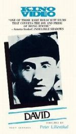 Watch David 2KMovies