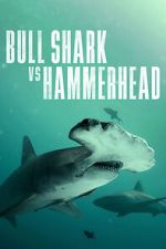 Watch Bull Shark vs Hammerhead 2KMovies