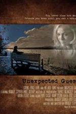 Watch Unexpected Guest 2KMovies