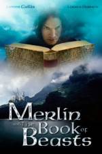 Watch Merlin and the Book of Beasts 2KMovies