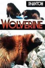 Watch National Geographic  Phantom Wolverine 2KMovies