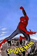 Watch Spider-Man 2KMovies
