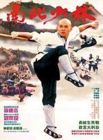 Watch Martial Arts of Shaolin 2KMovies