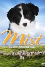 Watch Mist: The Tale of a Sheepdog Puppy 2KMovies