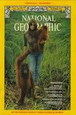 Watch Search for the Great Apes 2KMovies