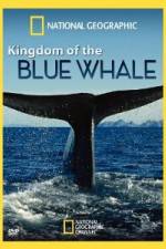 Watch National Geographic Kingdom of Blue Whale 2KMovies