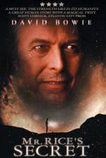 Watch Mr. Rice's Secret 2KMovies