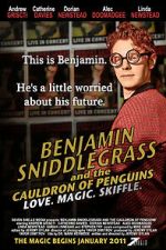 Watch Benjamin Sniddlegrass and the Cauldron of Penguins 2KMovies