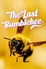 Watch The Last Bumblebee 2KMovies