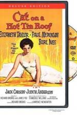 Watch Cat on a Hot Tin Roof 2KMovies
