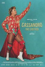 Watch Cassandro, The Exotico! 2KMovies