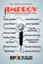 Watch The Improv: 50 Years Behind the Brick Wall (TV Special 2013) 2KMovies