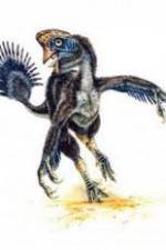 Watch National Geographic Wild : Evolutions Last Living Dinosaur 2KMovies