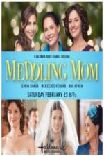 Watch Meddling Mom 2KMovies