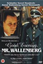 Watch Good Evening, Mr. Wallenberg 2KMovies