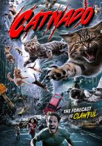 Watch Catnado 2KMovies